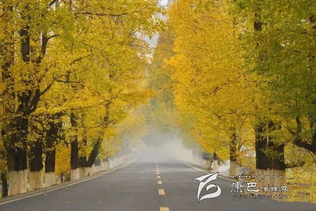 康定新都橋，有一條黃金大道通往夢(mèng)中的天堂