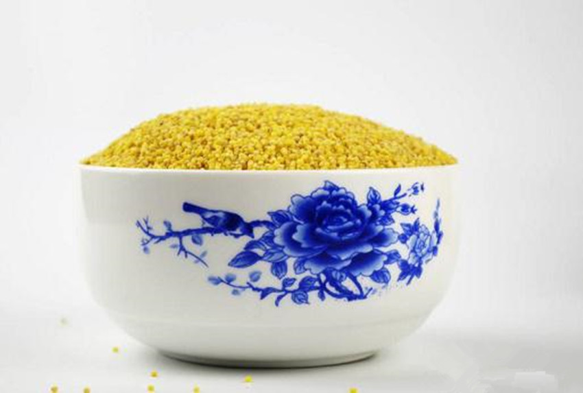 小米.jpg 小米.jpg