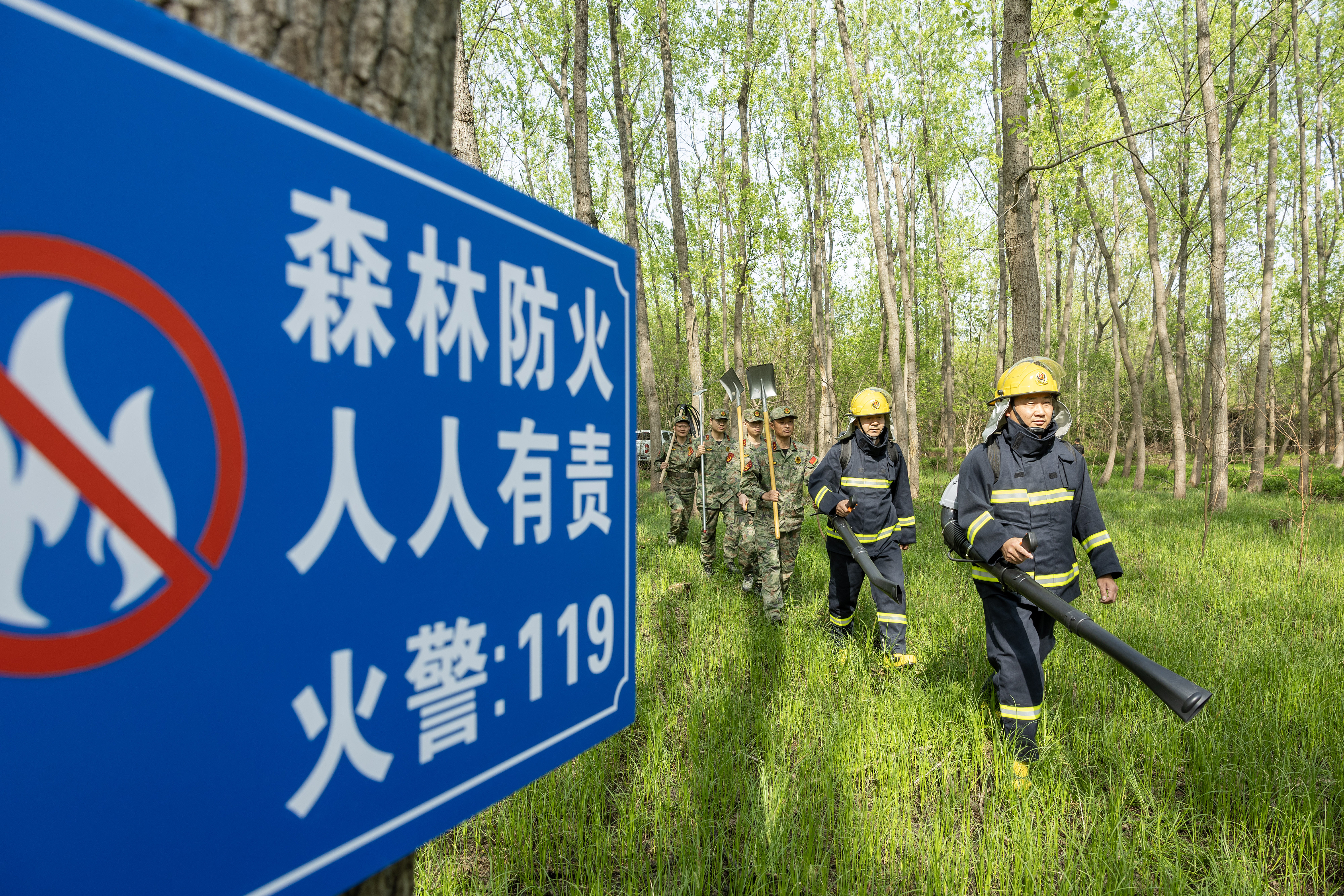 2024年4月9日，合肥市大房郢水庫水源保護地廬陽(yáng)經(jīng)濟開(kāi)發(fā)區段，基干民兵正在林間巡查火災隱患。