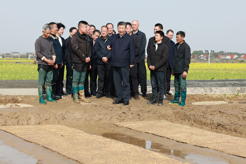 2024年3月18日至21日，中共中央總書(shū)記、國家主席、中央軍委主席習近平在湖南考察。這是19日下午，習近平在常德市鼎城區謝家鋪鎮港中坪村走進(jìn)田間，察看秧苗培育和春耕備耕進(jìn)展。新華社記者 王曄 攝